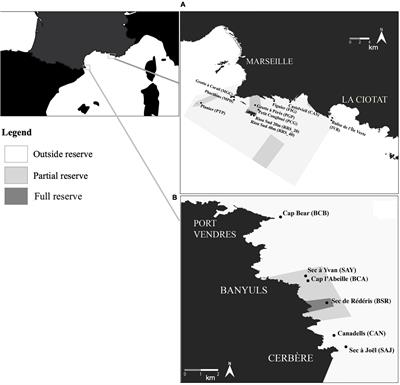 3D Photogrammetry Modeling Highlights Efficient Reserve Effect Apparition After 5 Years and Stillness After 40 for Red Coral (Corallium rubrum) Conservation in French MPAs